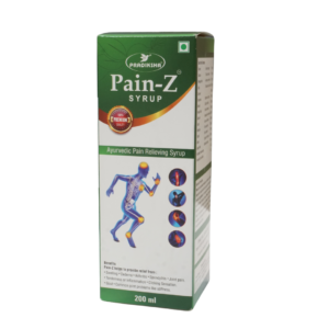 Pain Z Syrup (190ml)